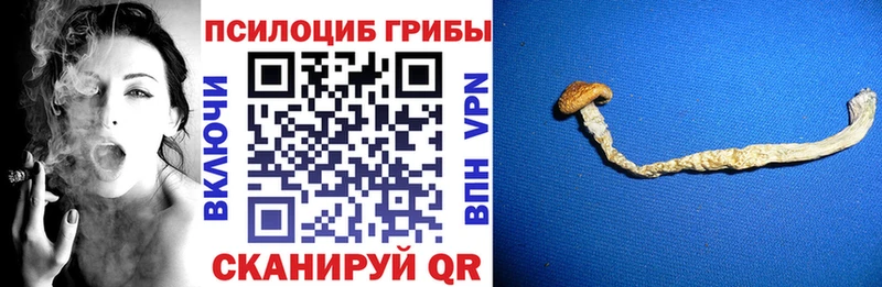 Псилоцибиновые грибы Psilocybine cubensis  ссылка на мегу зеркало  Рыльск 